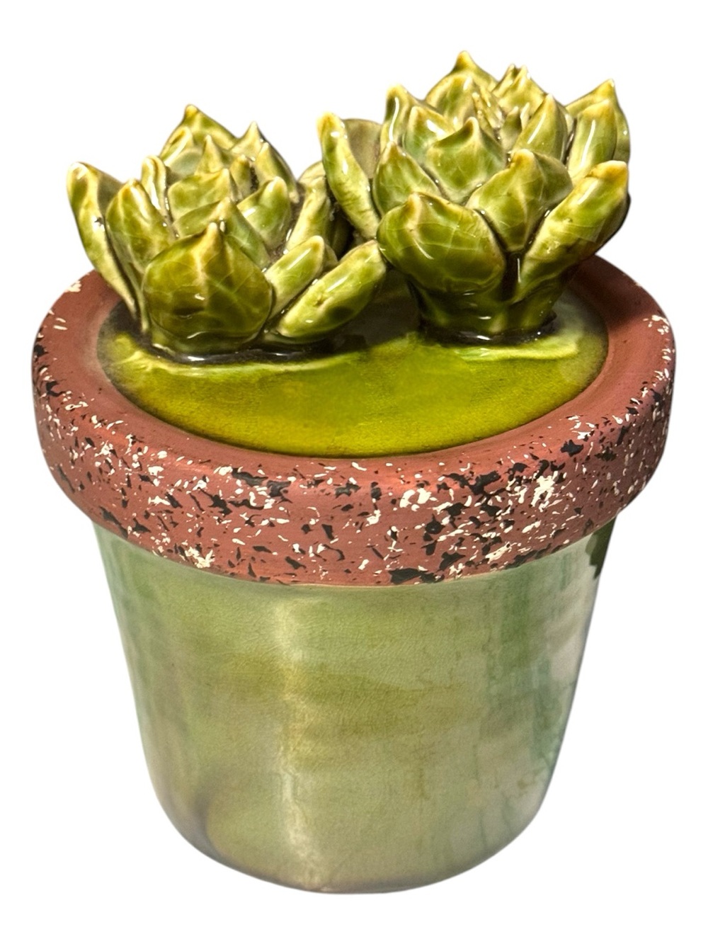 A & B Home 6.5” Succulent Rosettes Ceramic Plant Pot Decoration Garden